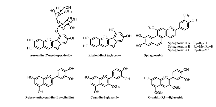 International-Journal-Chemical-Sciences-Flavylium