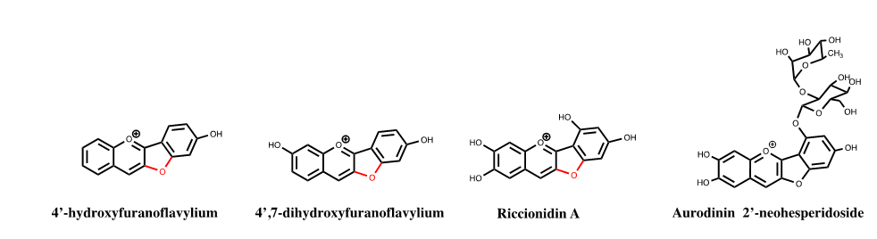 International-Journal-Chemical-Sciences-Hydroxyfuranoflavylium