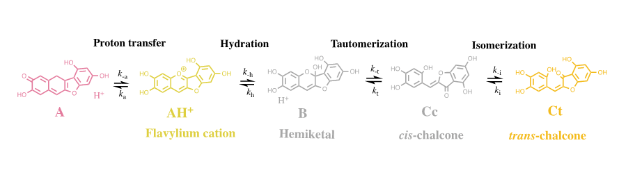 International-Journal-Chemical-Sciences-Riccionidin