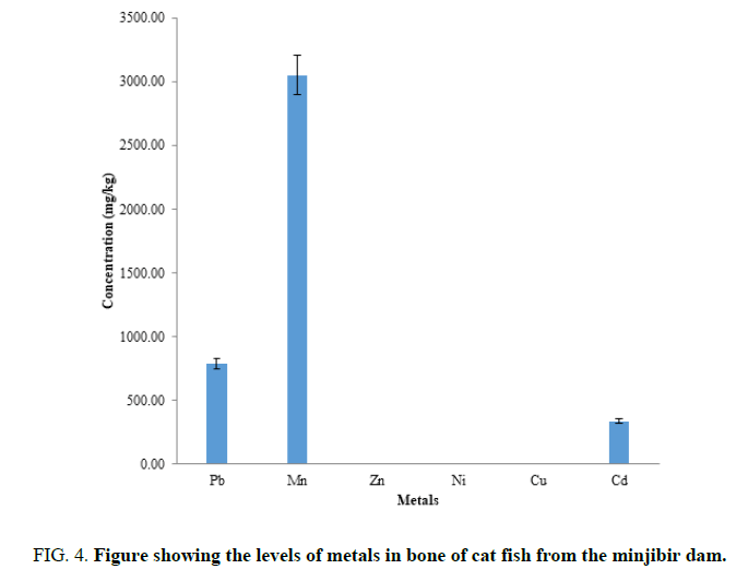 analytical-fish