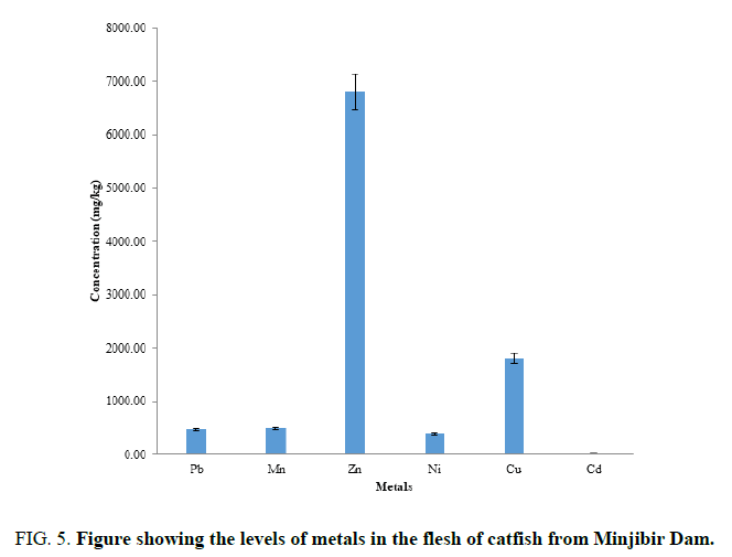 analytical-levels