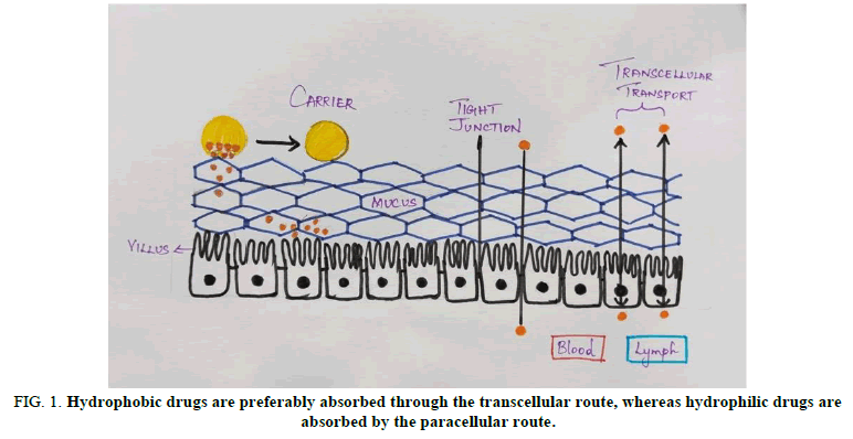 Biochemistry-Indian-Hydrophobic