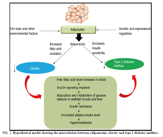 Biochemistry-Indian-Hypothetical