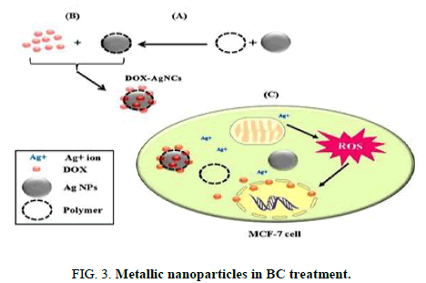 Biotechnology-Indian-Metallic