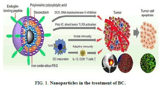 Biotechnology-Indian-Nanoparticles
