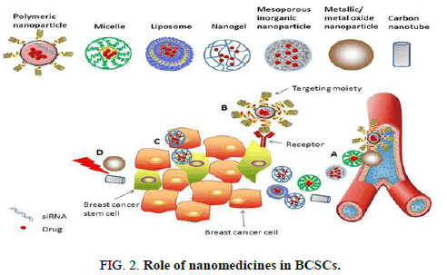 Biotechnology-Indian-Role