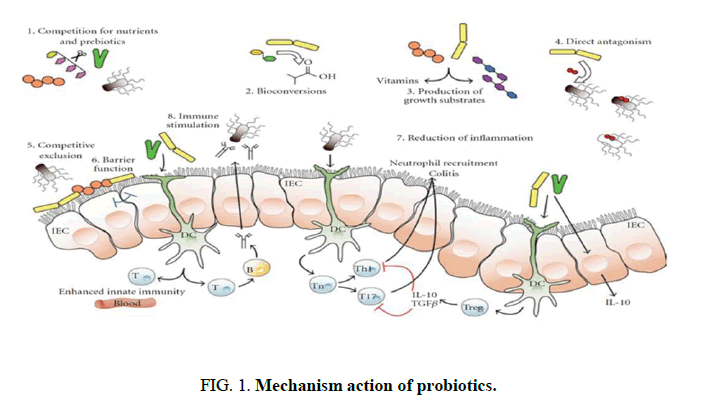 Biotechnology-Mechanism