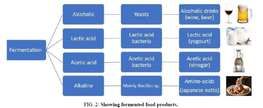 Biotechnology-fermented