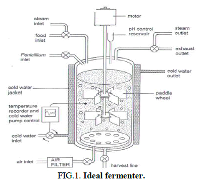 Chemical-Chemical-Sciences-Ideal