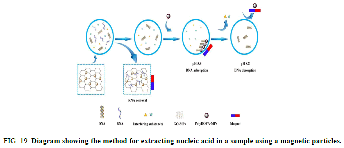 Chemical-Pharmaceutical-Diagram