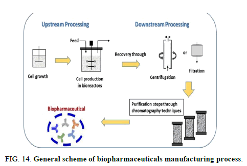 Chemical-Pharmaceutical-biopharmaceuticals