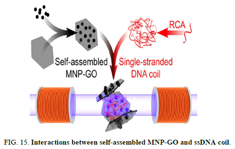 Chemical-Pharmaceutical-coil