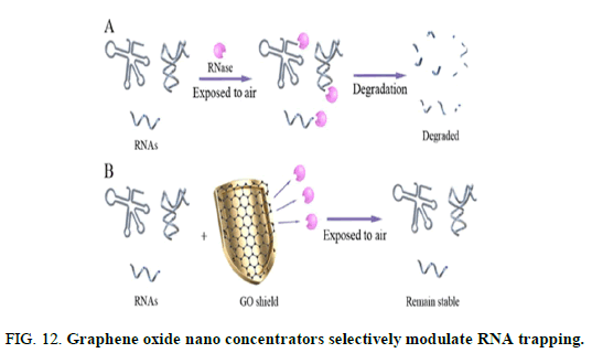 Chemical-Pharmaceutical-concentrators