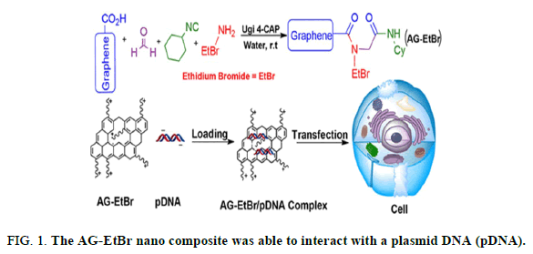 Chemical-Pharmaceutical-plasmid