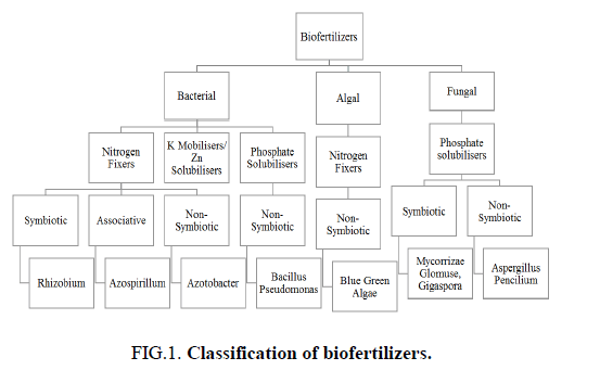Chemical-Sciences-biofertilizers
