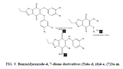 Environmental-Science-Benzo