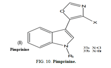 Environmental-Science-Pimprinine