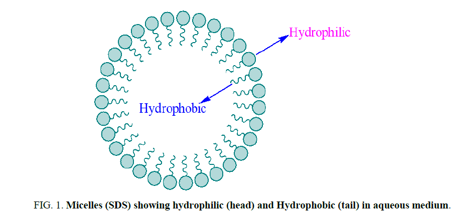 Organic-Chemistry-hydrophilic