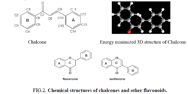 TSNP-Chemical