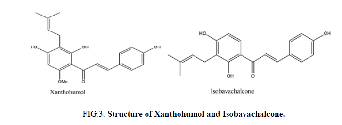 TSNP-Iso