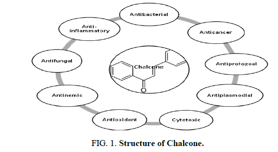 TSNP-Structure