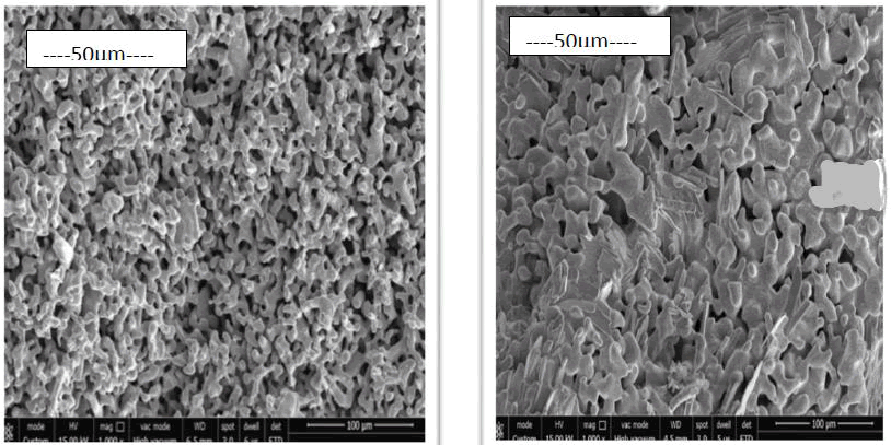 materials-science-micrographs