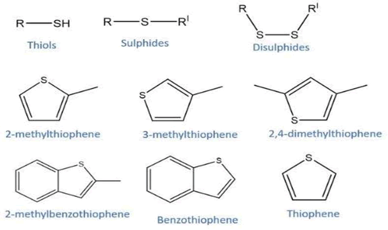 tsnsnt-species tsnsnt-species