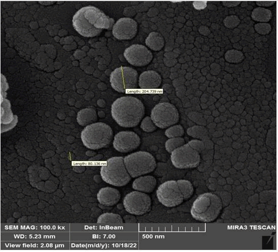 tsnsnt-species tsnsnt-species