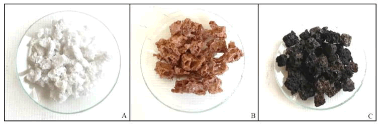 tsnsnt-species tsnsnt-species