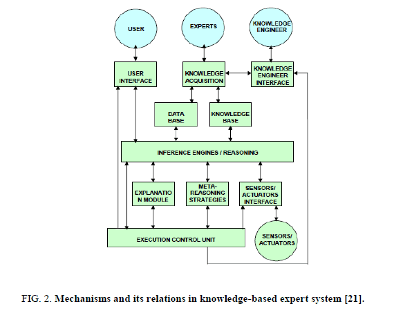 Chemical-Sciences-Mechanisms