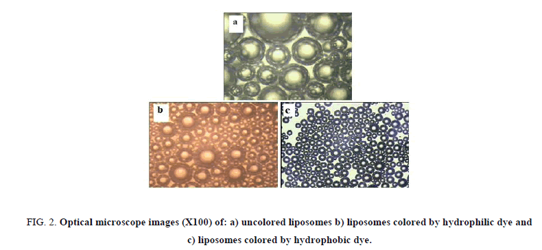 Chemical-Sciences-liposomes-colored