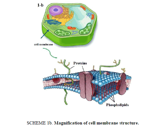 Chemical-Sciences-magnification