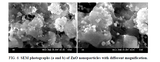 Chemical-Sciences-magnification