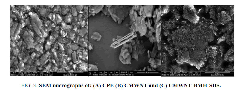 Chemical-Sciences-micrographs