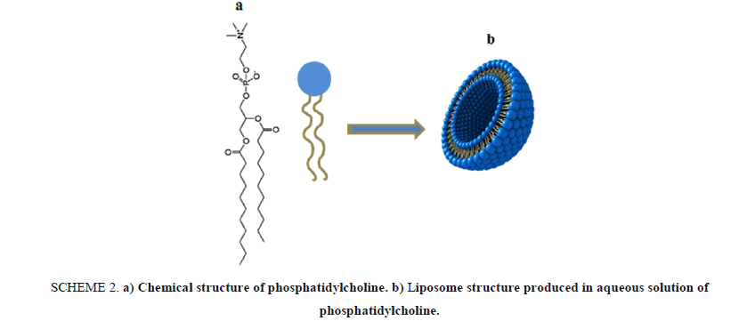 Chemical-Sciences-phosphatidylcholine