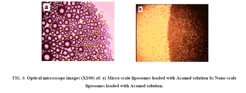 Chemical-Sciences-scale-liposomes