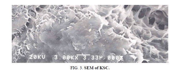 Chemical-Sciences-sem