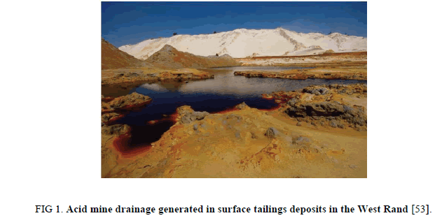 Chemical-Sciences-tailings-deposits