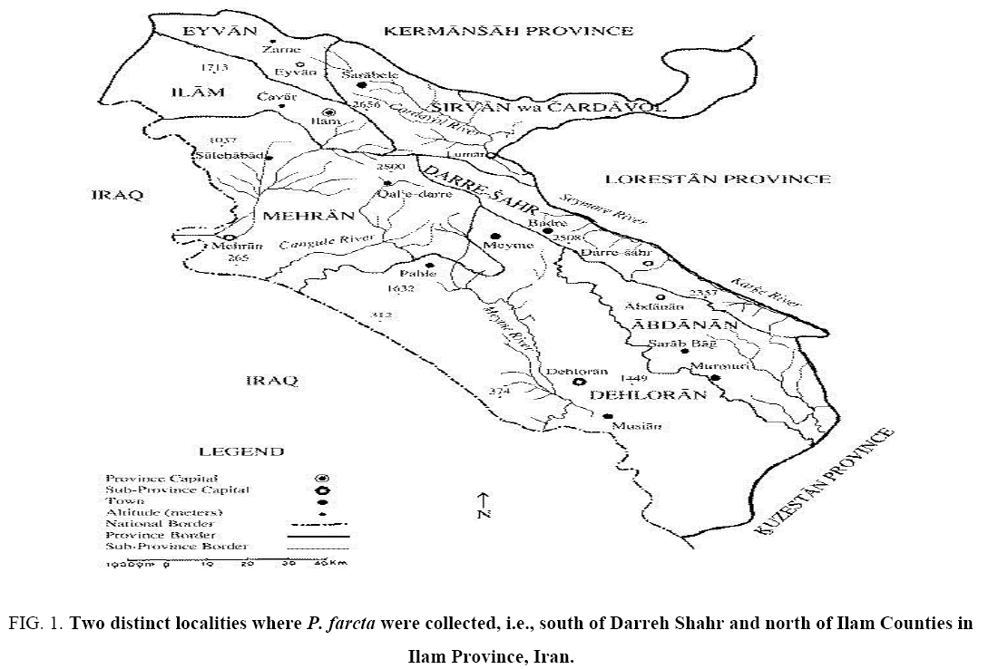 Chemical-Technology-Darreh-Shahr