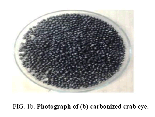 Chemical-Technology-carbonized-crab-eye