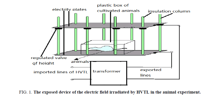 Environmental-Science-animal-experiment