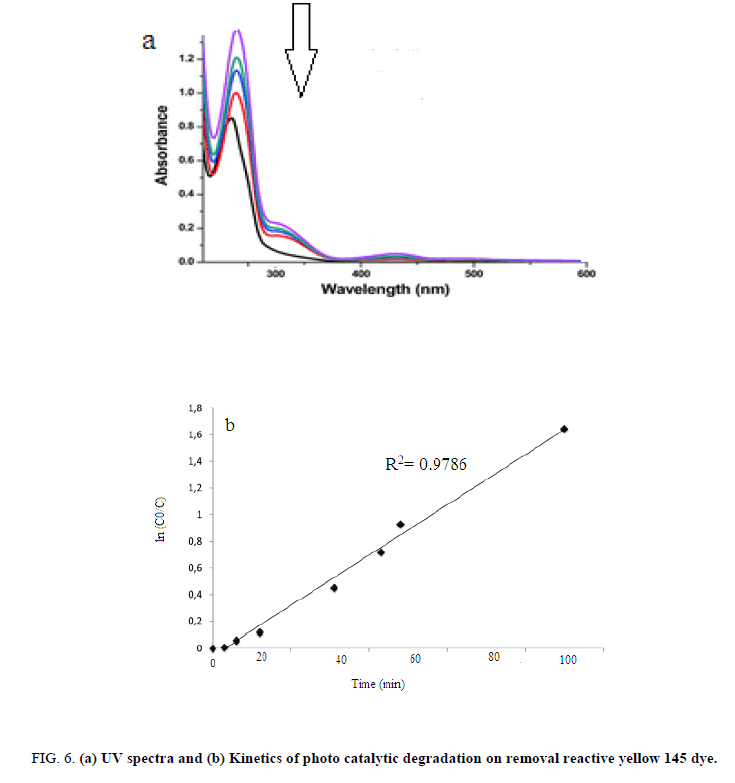 Environmental-Science-catalytic-degradation