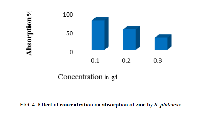 Environmental-Science-concentration