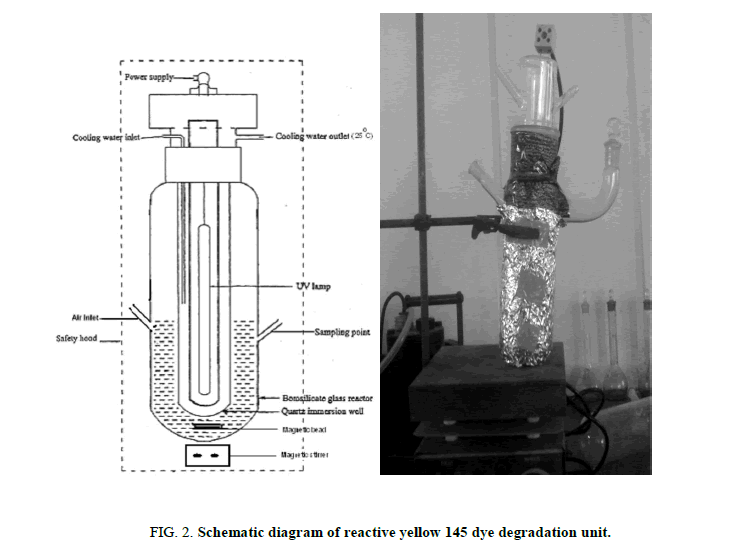 Environmental-Science-reactive-yellow