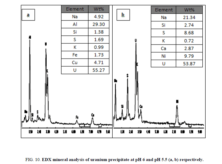 Materials-Science-precipitate