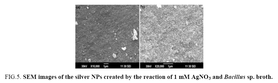 Nano-Science-Nano-Technology-silver-NPs