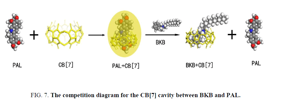 analytical-chemistry-competition-diagram-cavity