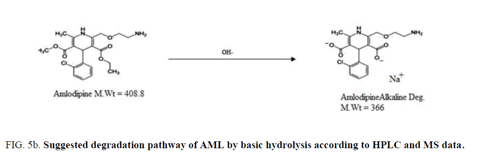 analytical-chemistry-degradation-pathway-AML