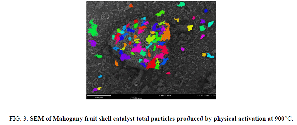 analytical-chemistry-fruit-shell