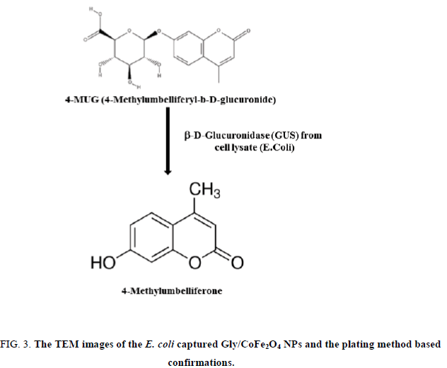 analytical-chemistry-plating-method-based